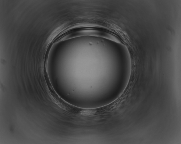 X0000090960051200708021424