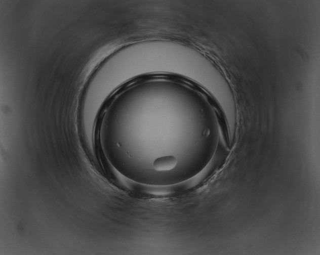 X0000090960054200708021424