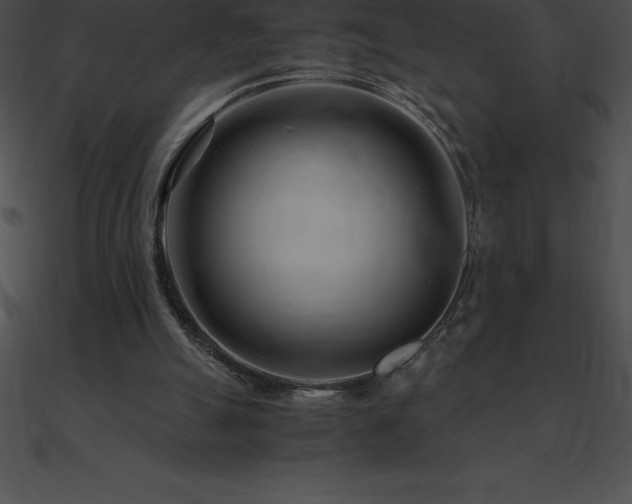X0000090960055200708021424