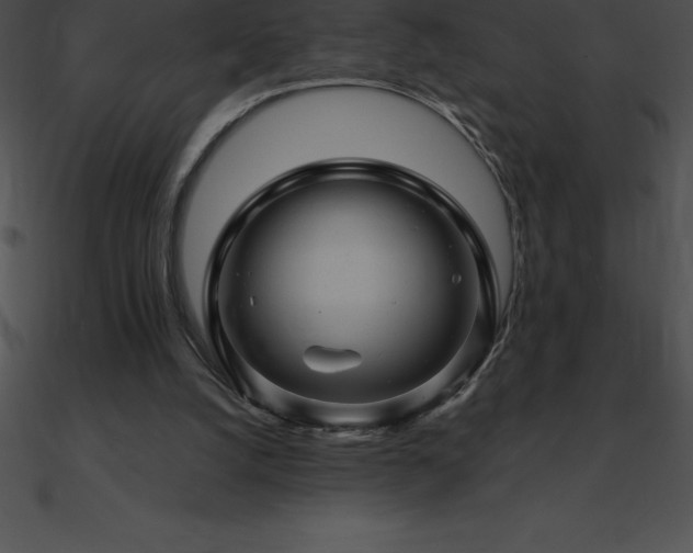X0000090960056200708021424