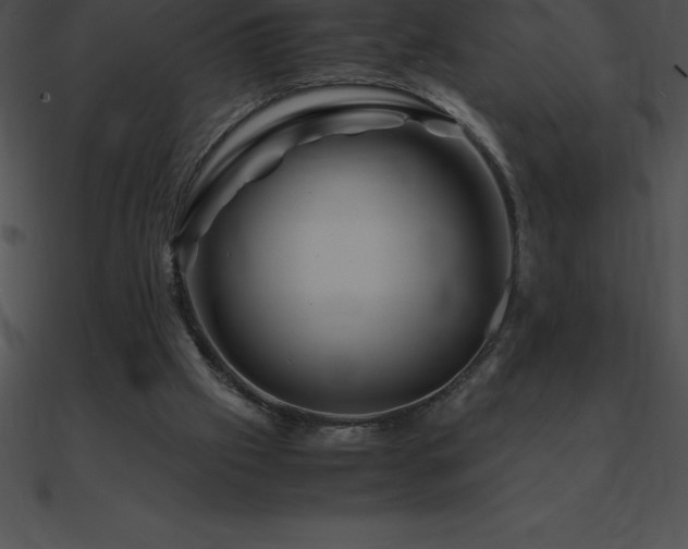 X0000090960057200708021424