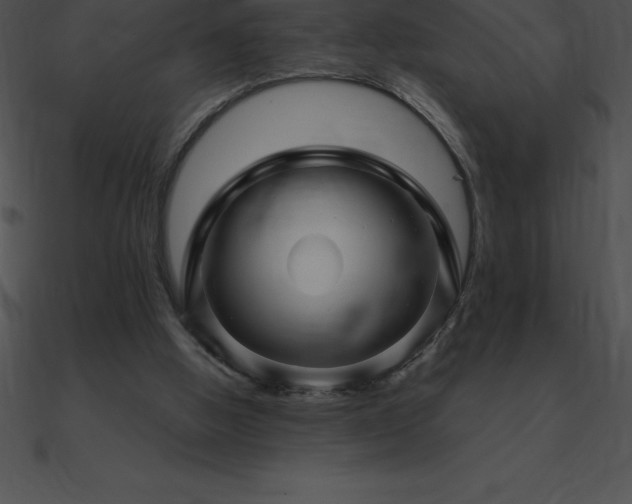 X0000090960058200708021424