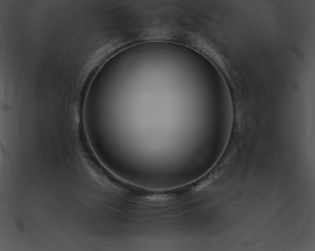 X0000090960059200708021424