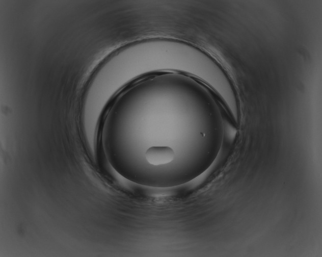 X0000090960060200708021424