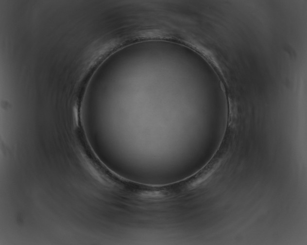 X0000090960061200708021424