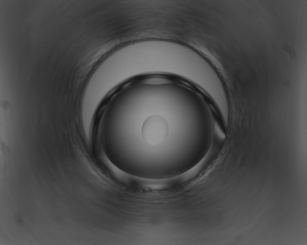 X0000090960062200708021425