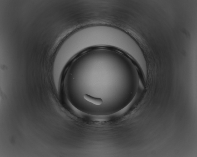 X0000090960064200708021425