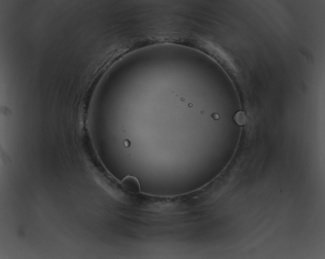 X0000090960065200708021425
