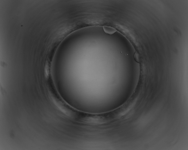 X0000090960069200708021425