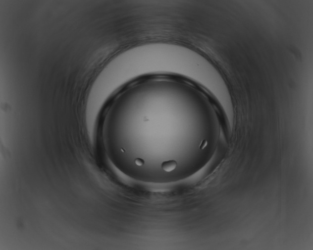 X0000090960070200708021425