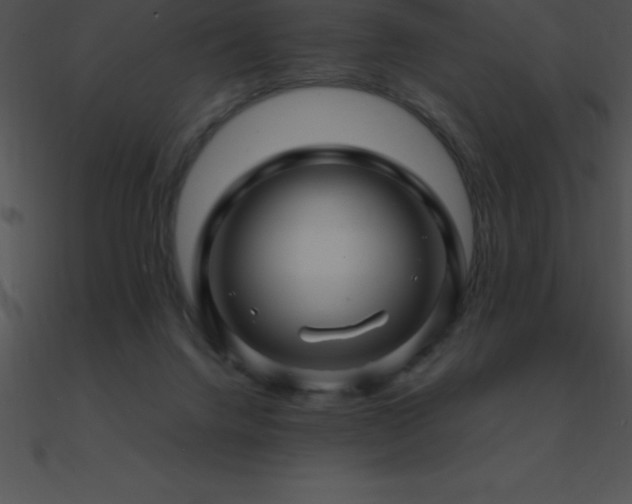 X0000090960072200708021425