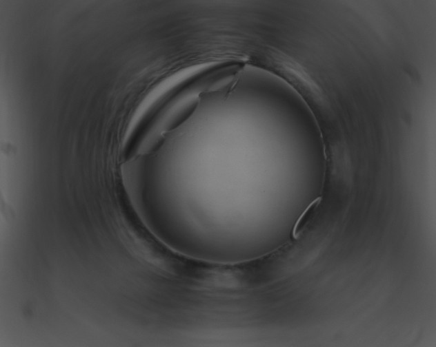 X0000090960073200708021425