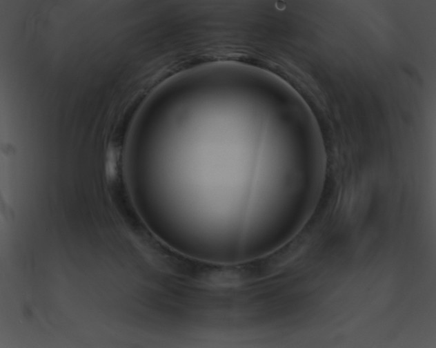 X0000090960075200708021425