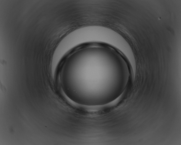 X0000090960076200708021425