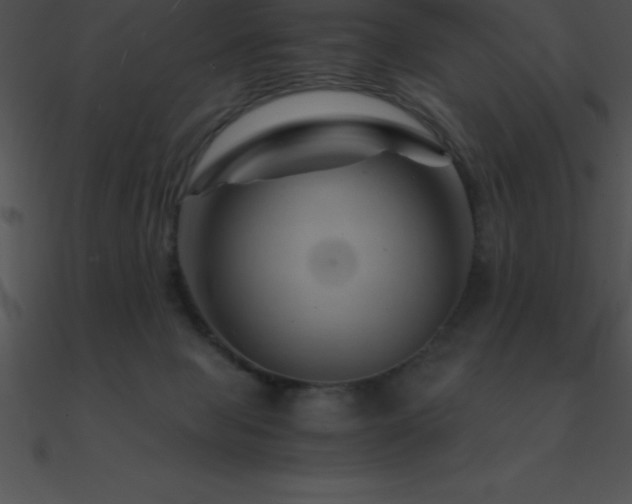 X0000090960077200708021425
