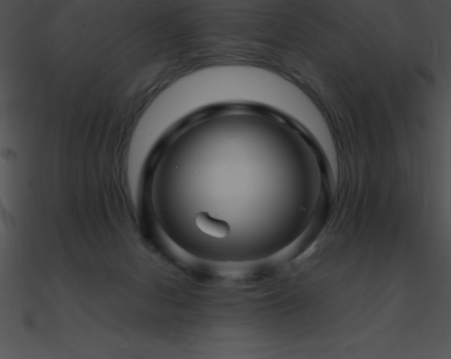 X0000090960078200708021425