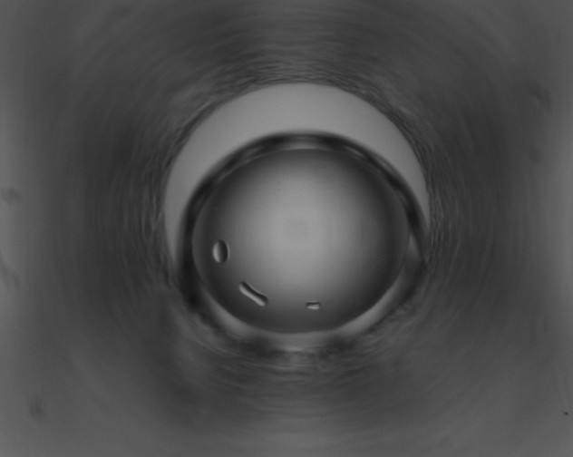 X0000090960080200708021425