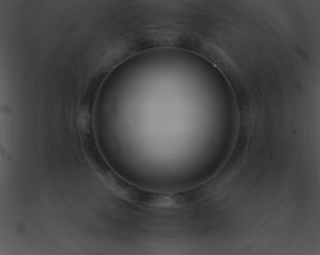 X0000090960083200708021425