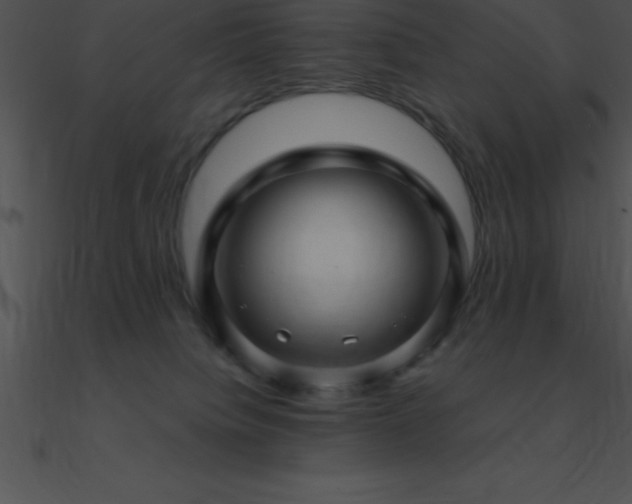 X0000090960084200708021425