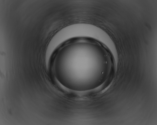 X0000090960086200708021425