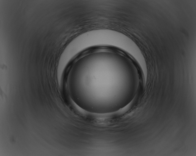 X0000090960088200708021425