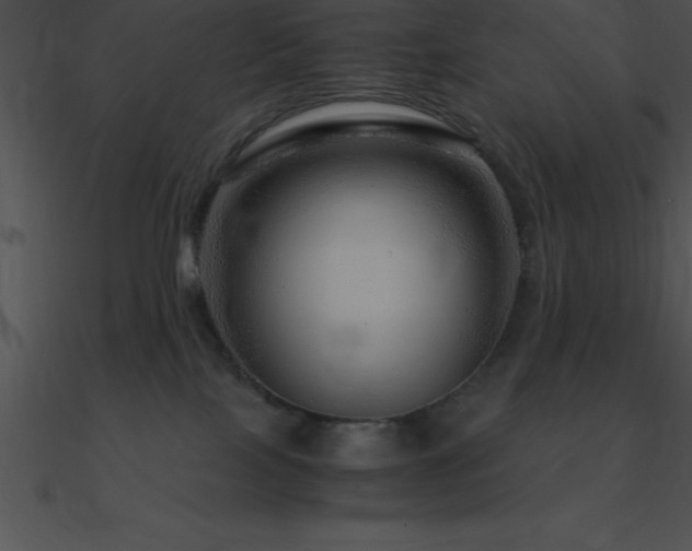 X0000090960089200708021425