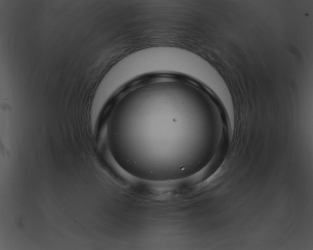 X0000090960090200708021425