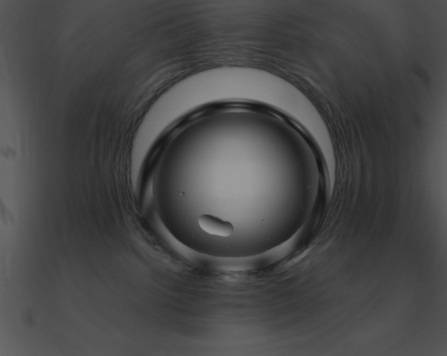 X0000090960092200708021425