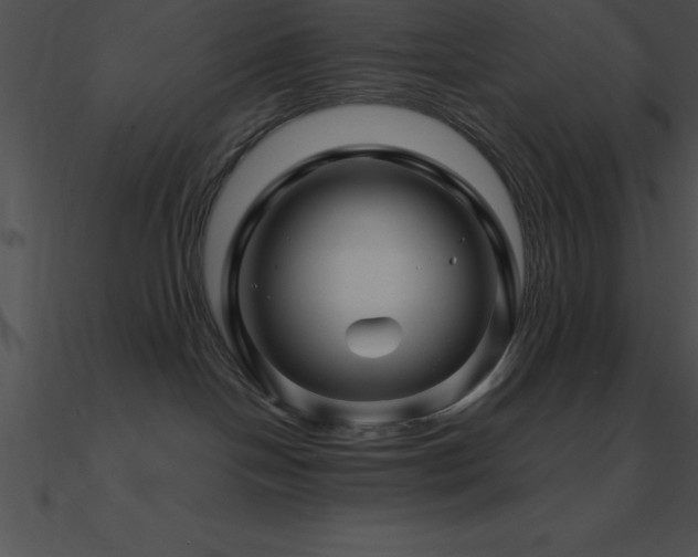 X0000090960094200708021425