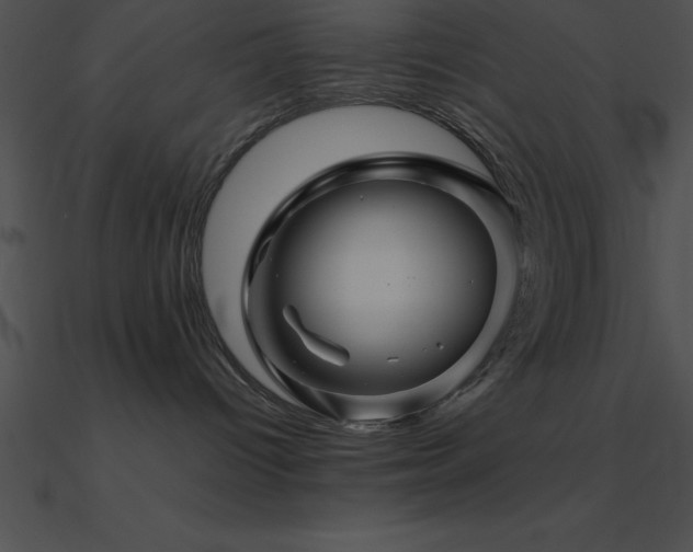 X0000090960096200708021425
