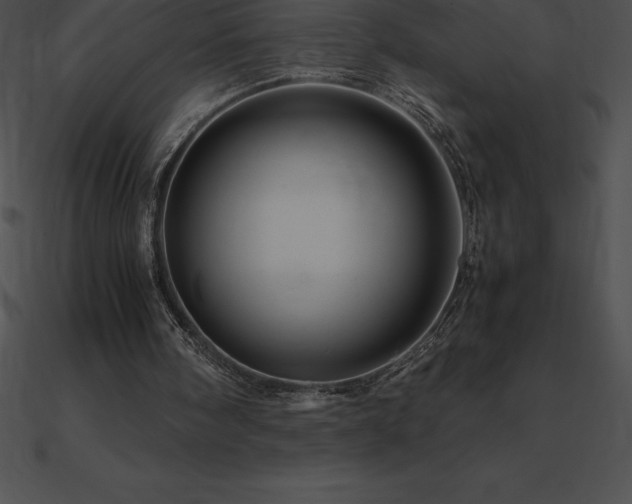 X0000090960098200708021424