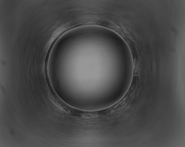 X0000090960099200708021424