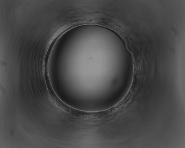 X0000090960100200708021424