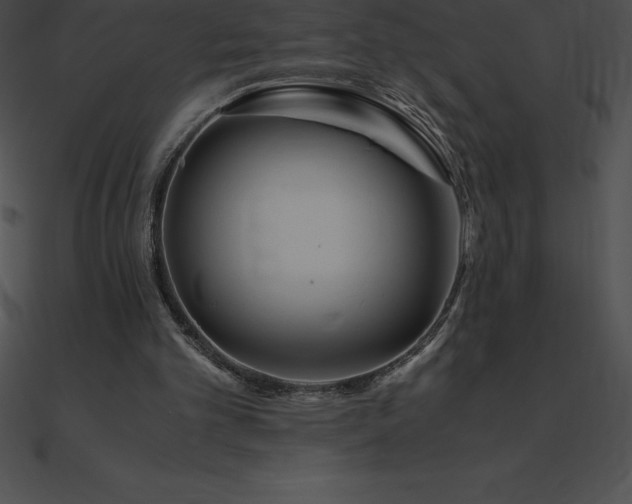 X0000090960101200708021424
