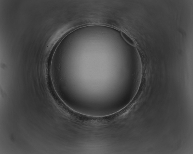 X0000090960103200708021424