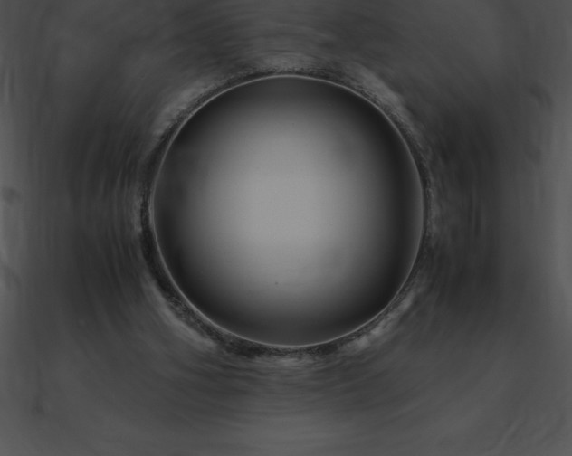 X0000090960106200708021424