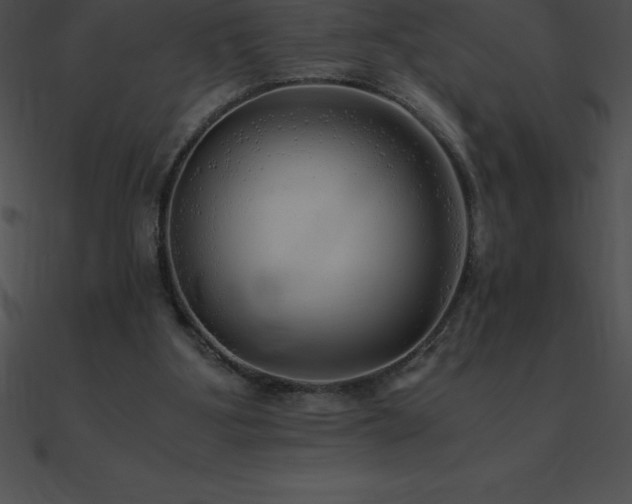 X0000090960107200708021424
