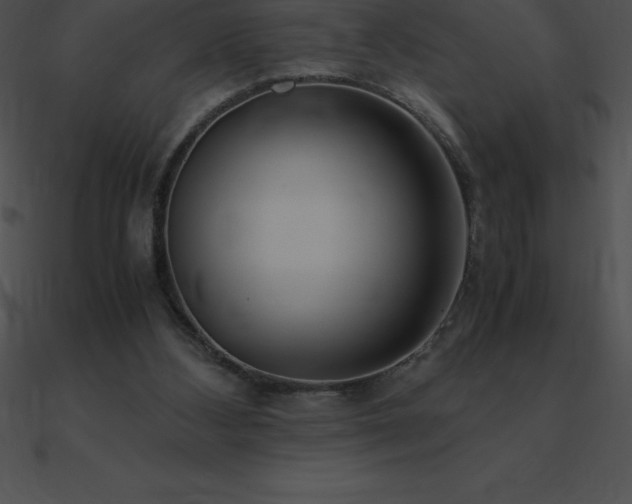 X0000090960108200708021424
