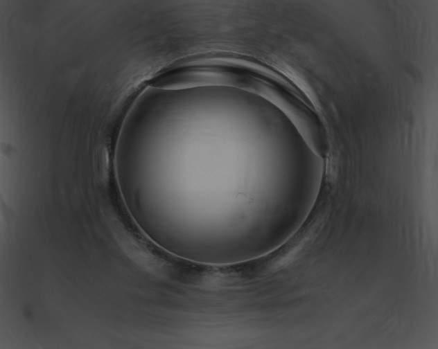 X0000090960109200708021424