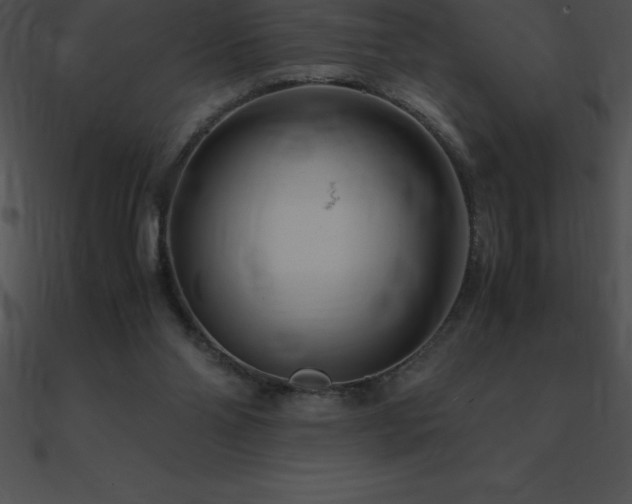 X0000090960110200708021424