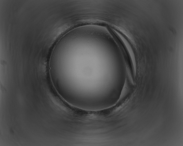 X0000090960111200708021424