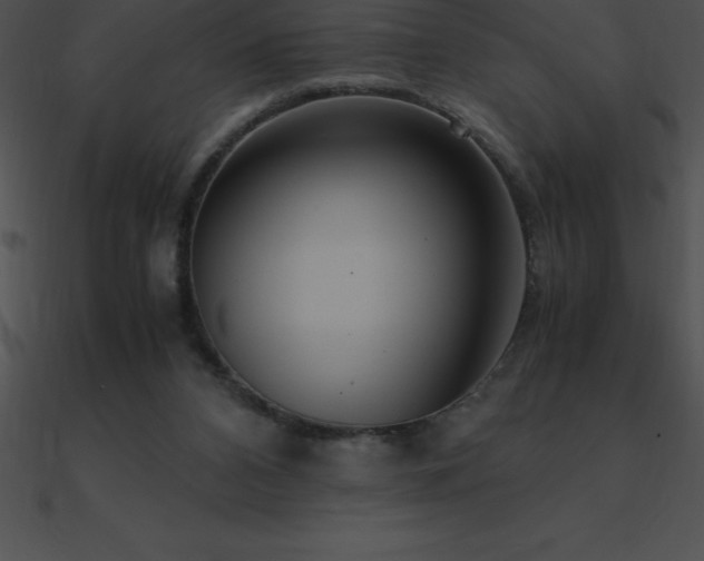 X0000090960112200708021424