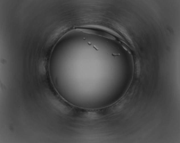 X0000090960114200708021424