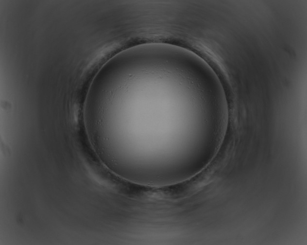 X0000090960115200708021424