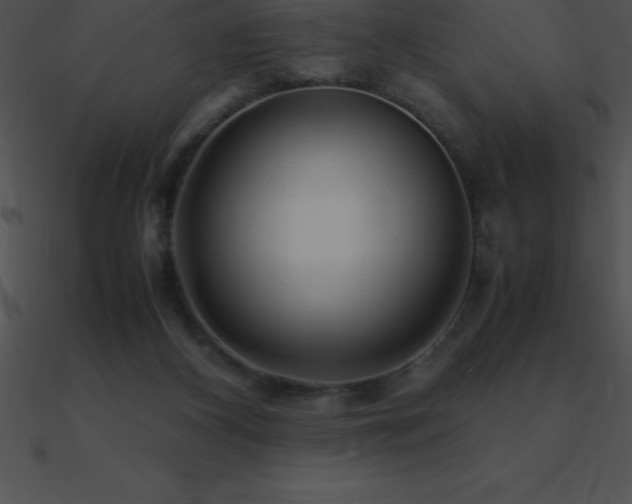 X0000090960116200708021424