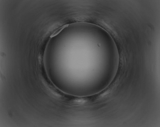 X0000090960117200708021424