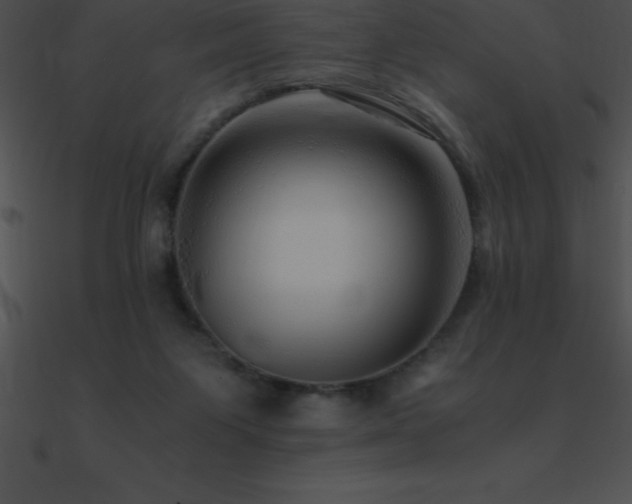 X0000090960119200708021424