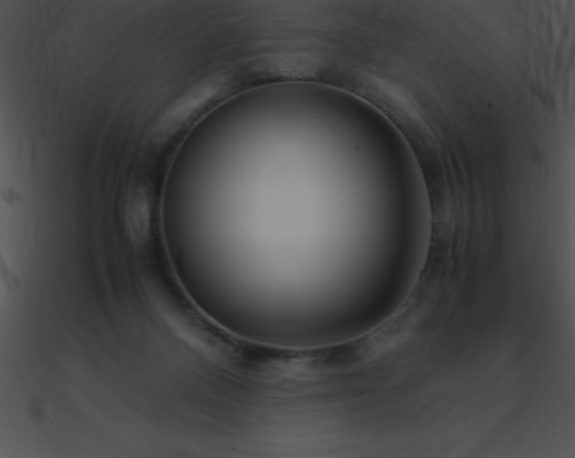 X0000090960120200708021424
