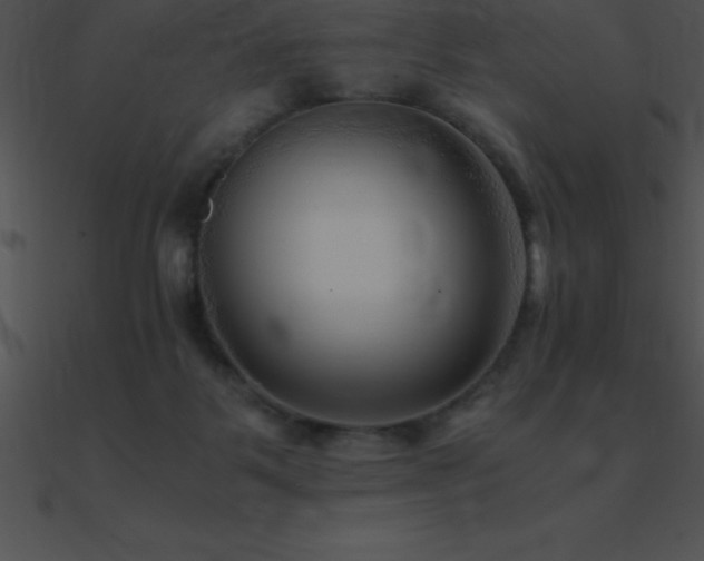 X0000090960123200708021424