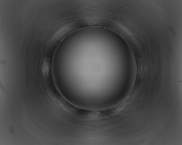 X0000090960124200708021424